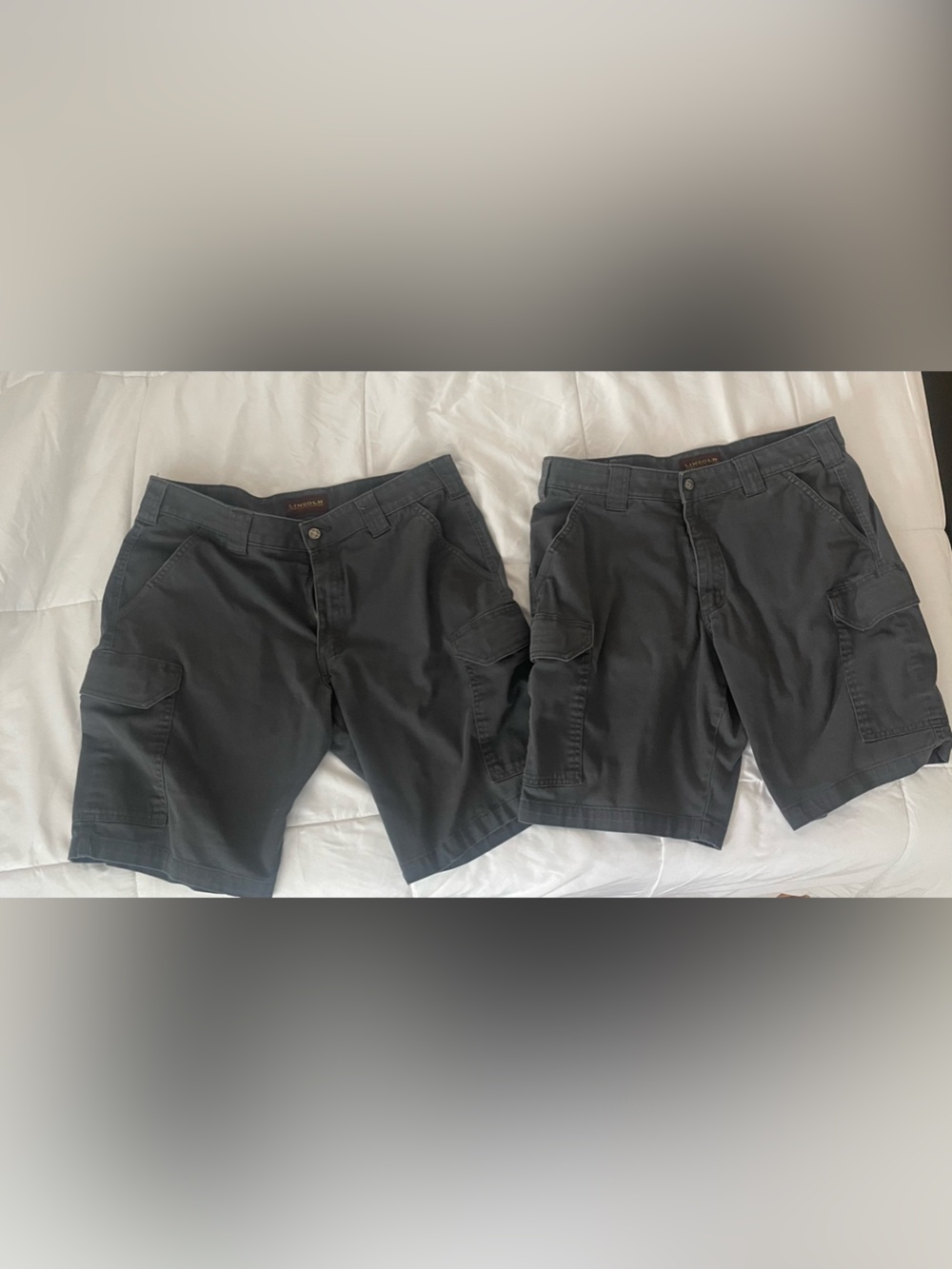 Set of 2 Lincoln Outfitters Men's Cargo Shorts